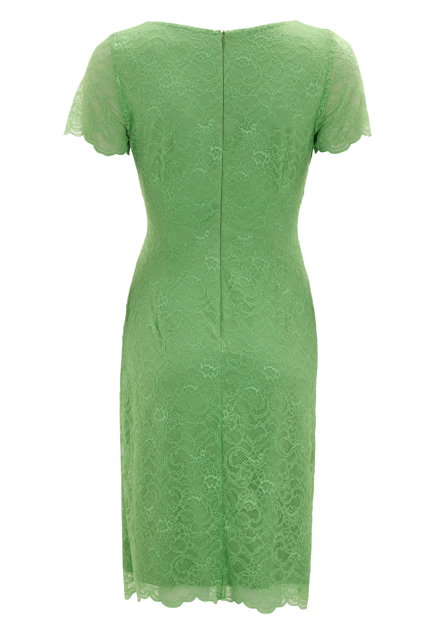 Etui Kleid aus feiner Spitze mit Bogenkante